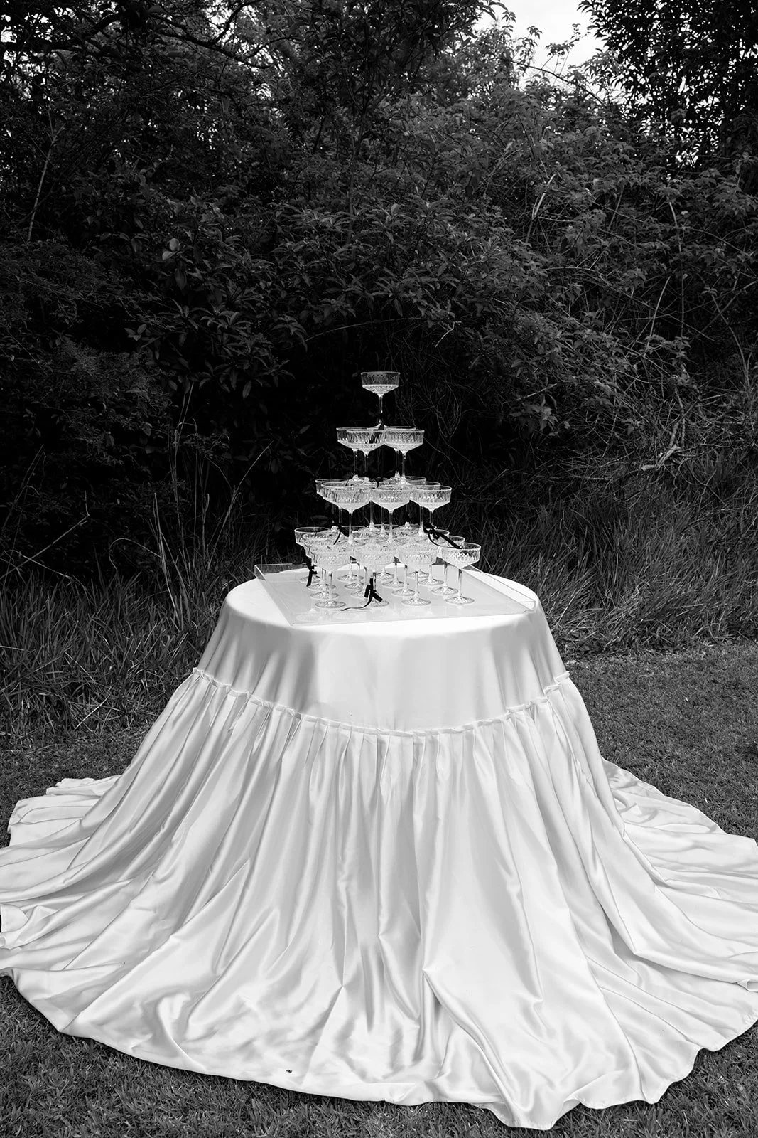Black and white: a champagne tower on a table draped to the ground, trees behind